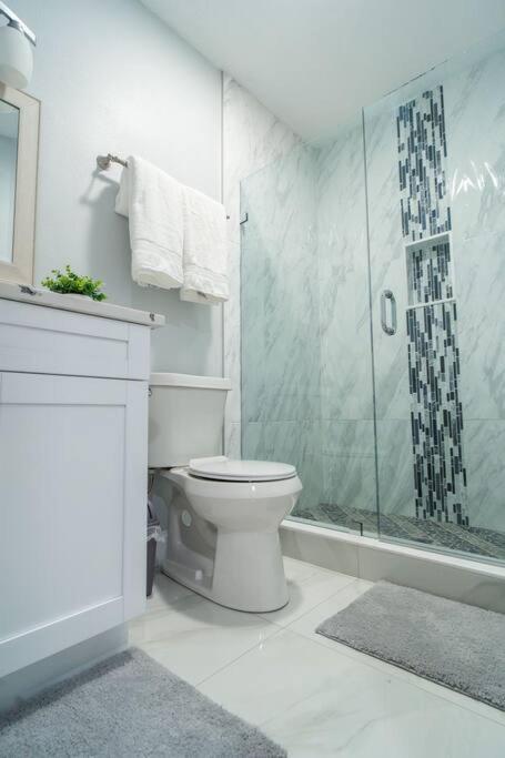 Grey Novo Studio + Free-Parking&Wifi Tampa Exterior foto